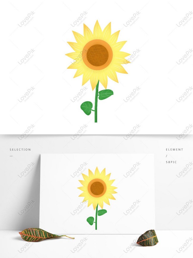 Detail Gambar Dekoratif Bunga Matahari Nomer 8