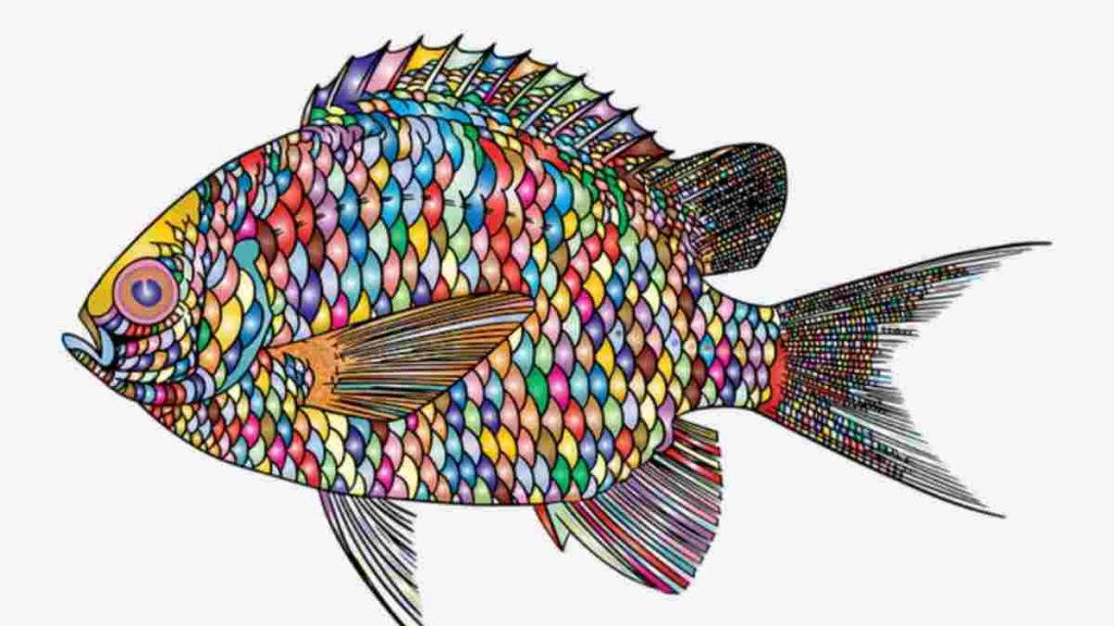 Detail Gambar Dekoratif Ikan Nomer 23