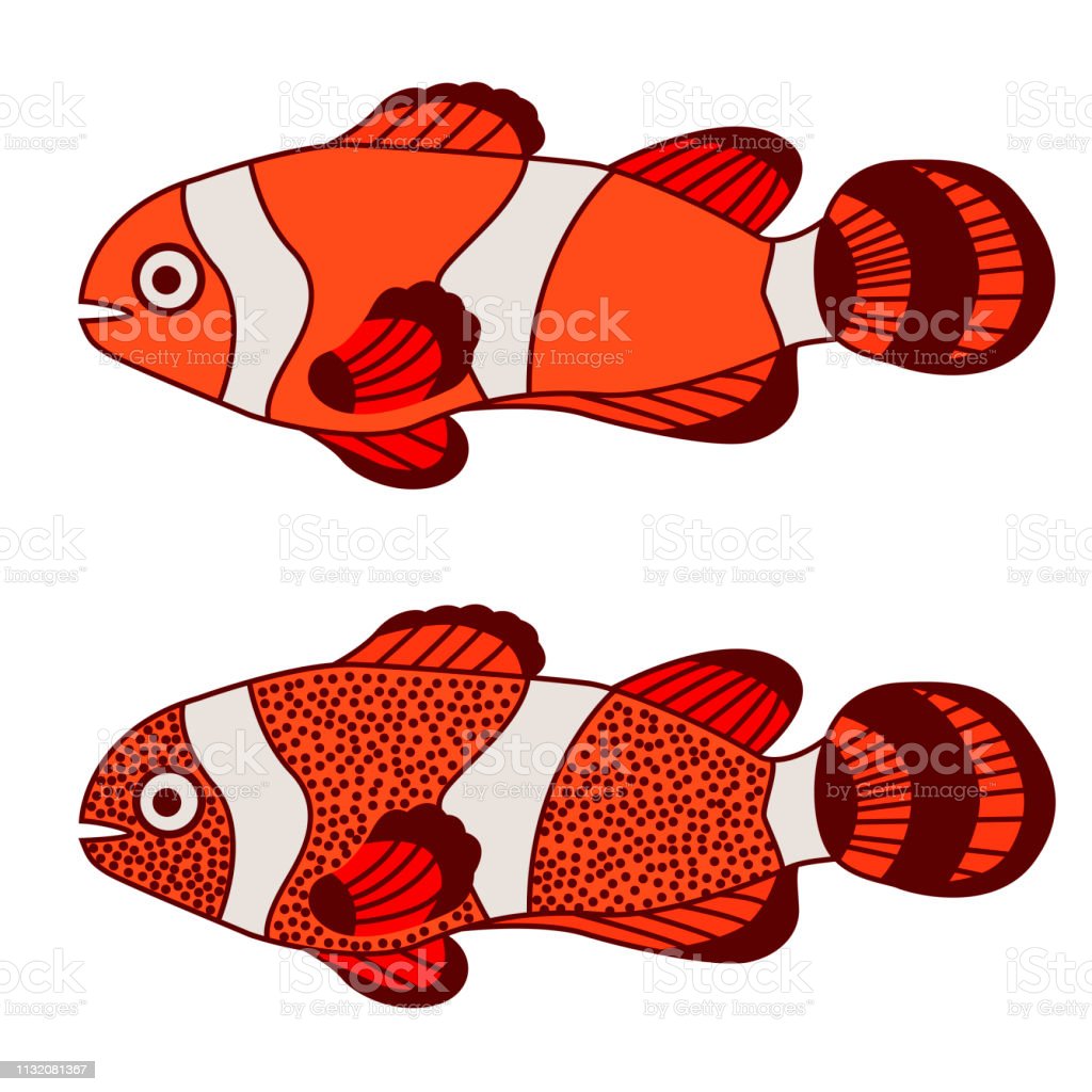 Detail Gambar Dekoratif Ikan Nomer 41