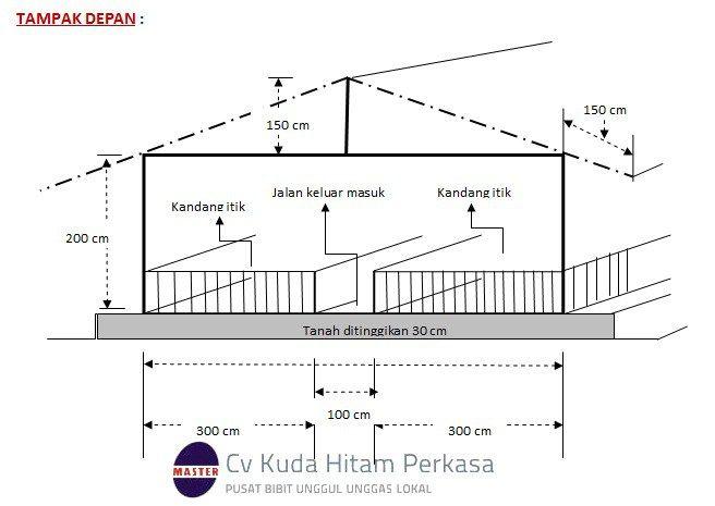 Detail Gambar Denah Kandang Ayam Broiler Nomer 6