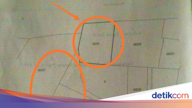 Detail Gambar Denah Lokasi Rumah Dan Tetangganya Nomer 6