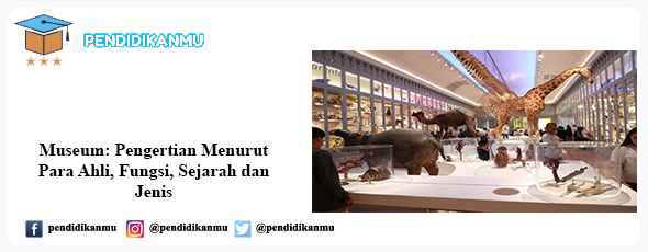 Detail Gambar Denah Museum Terlengkap Nomer 42