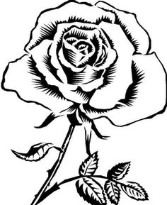 Detail Gambar Desain Bunga Mawar Nomer 8