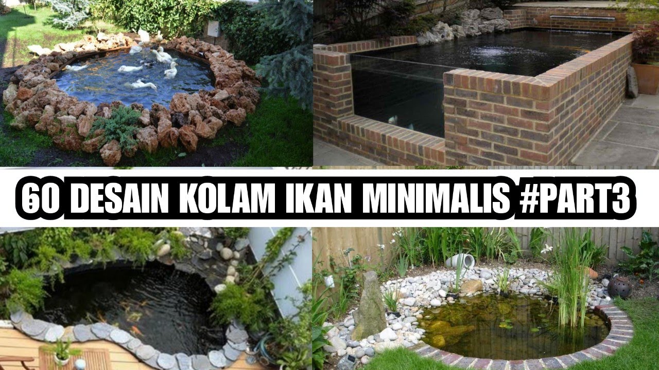 Detail Gambar Desain Kolam Ikan Minimalis Nomer 29