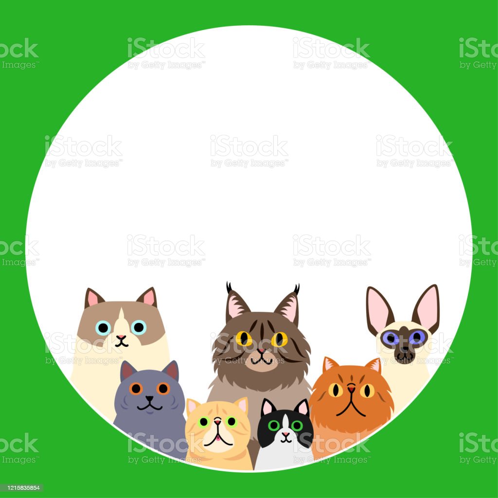 Detail Gambar Desain Kucing Nomer 28