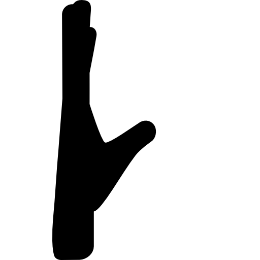 Hand Seitlich - KibrisPDR