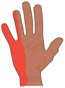 Detail Hand Seitlich Nomer 3