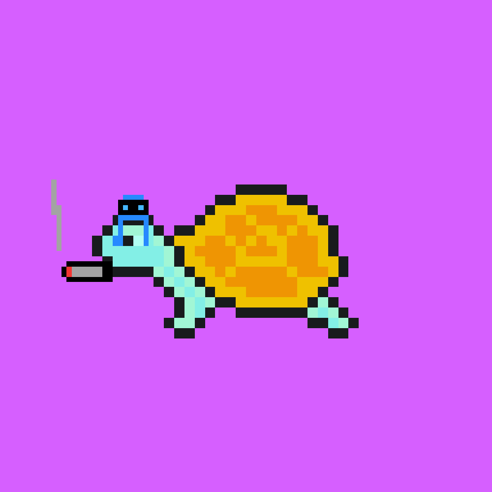 Detail Nyan Turtle Nomer 13