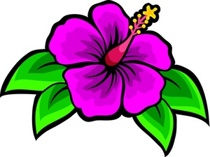 Detail Purple Hawaiian Flowers Nomer 4