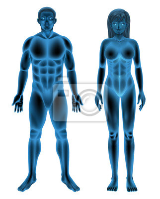 Detail Anatomie Weibliche Brust Nomer 11