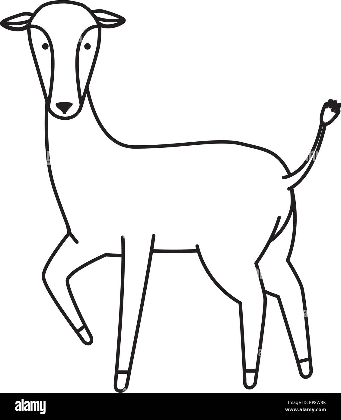 Detail Baby Antilope Nomer 17