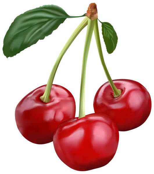 Detail Cherry Png Nomer 11