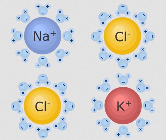 Detail Contoh Anion Dan Kation Nomer 13