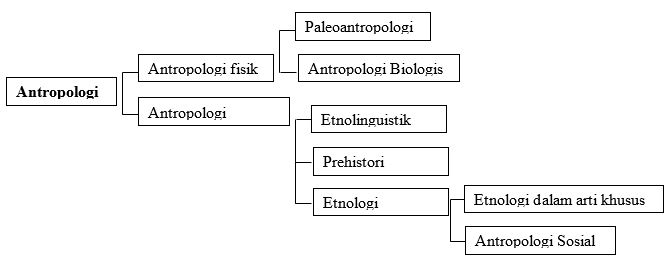 Detail Contoh Antropologi Fisik Koleksi Nomer 19 1123