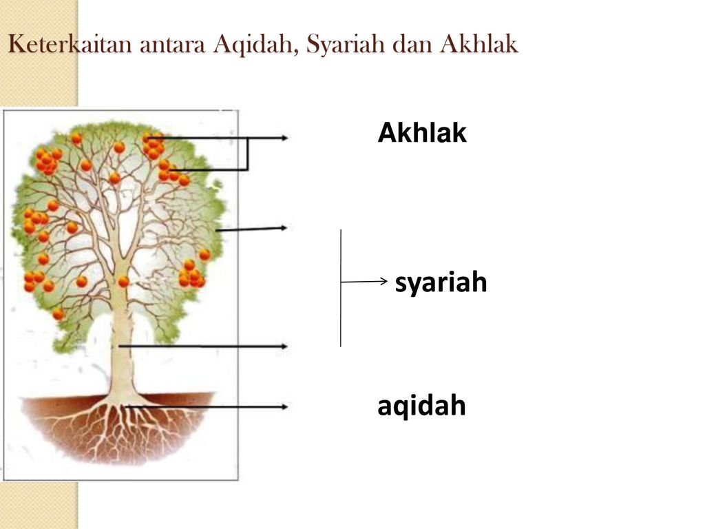 Detail Contoh Aqidah Syariah Dan Akhlak Nomer 4