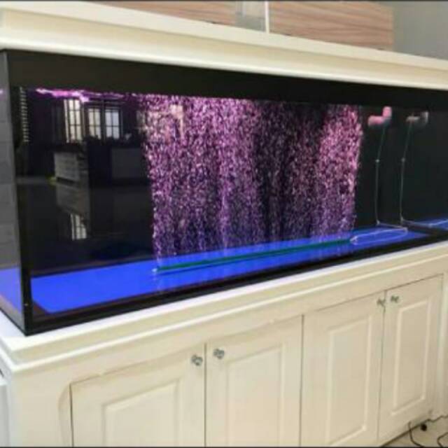 Detail Contoh Aquarium Arwana Nomer 24