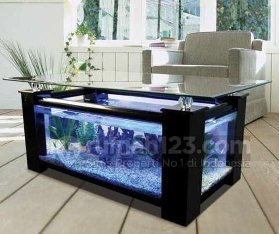 Detail Contoh Aquarium Minimalis Nomer 55