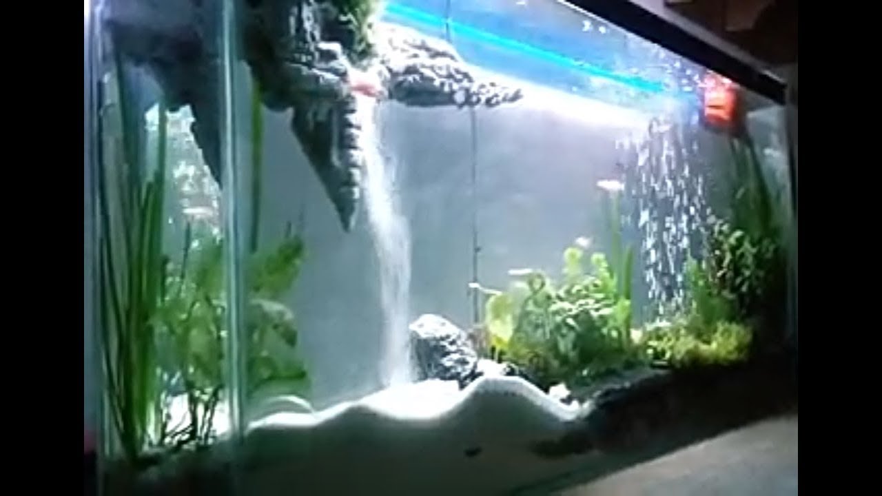 Detail Contoh Aquascape Air Terjun Nomer 2