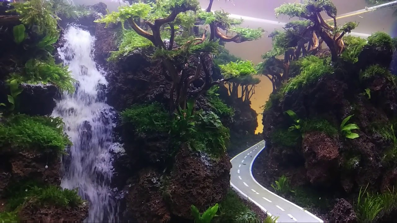 Detail Contoh Aquascape Air Terjun Nomer 11