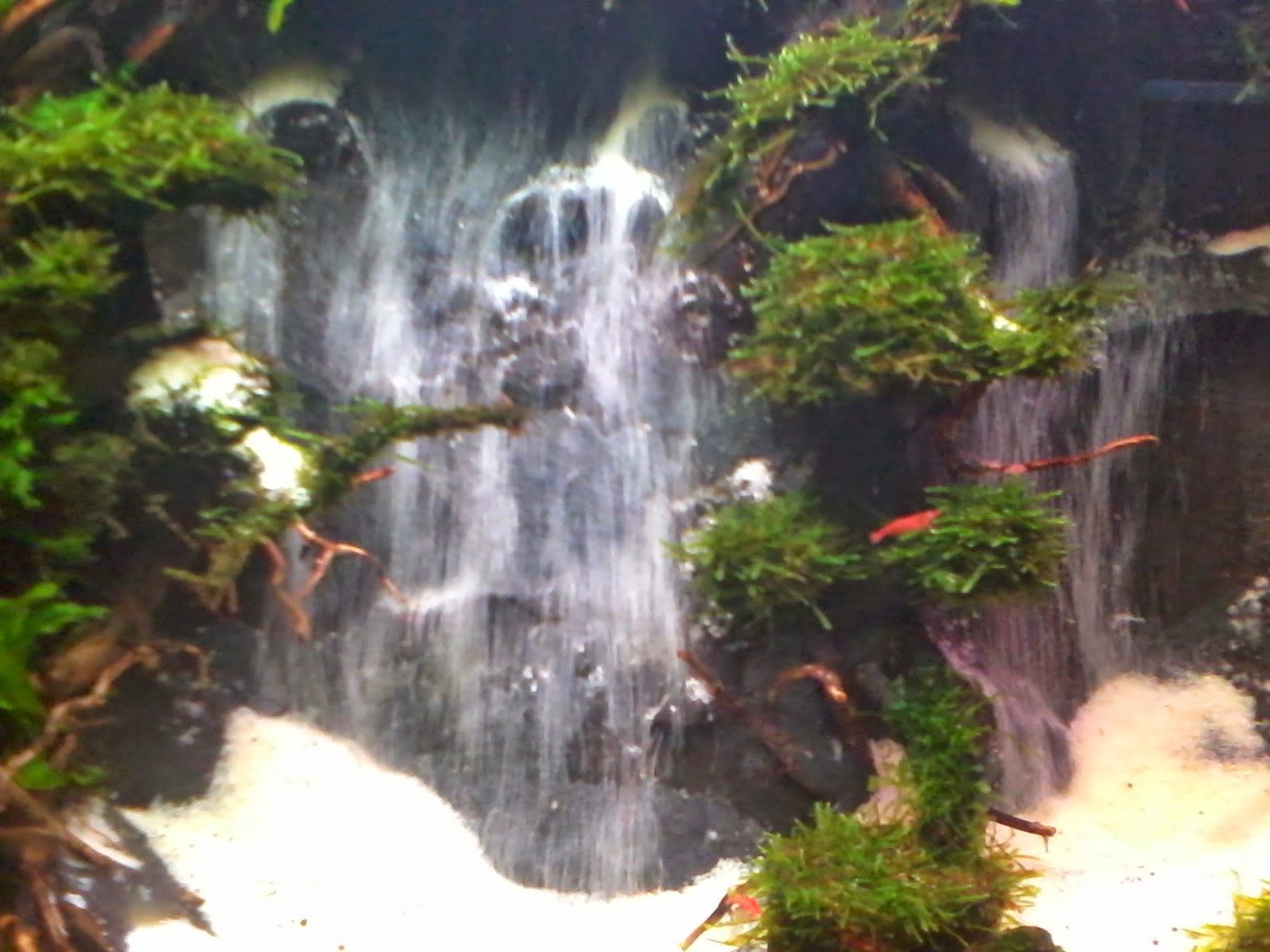 Detail Contoh Aquascape Air Terjun Nomer 15
