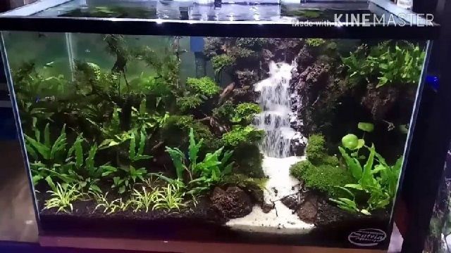 Detail Contoh Aquascape Air Terjun Nomer 17