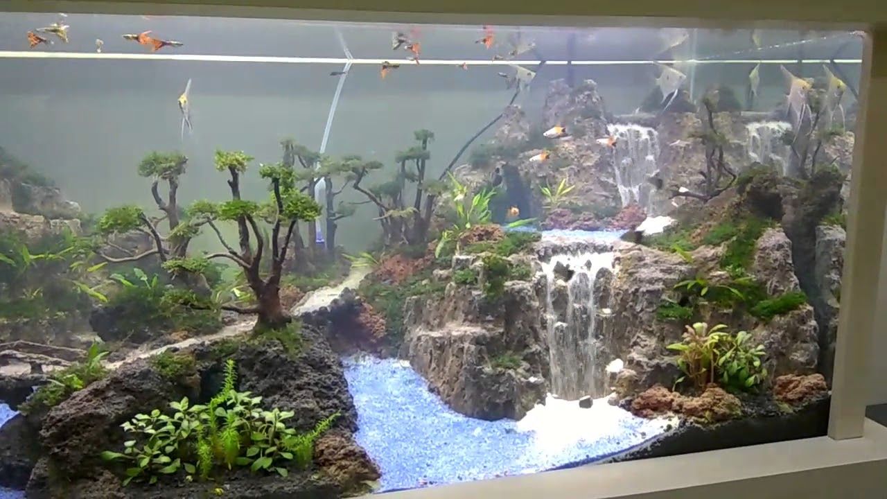 Detail Contoh Aquascape Air Terjun Nomer 18