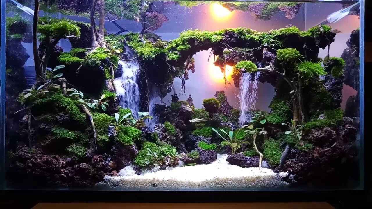 Detail Contoh Aquascape Air Terjun Nomer 19