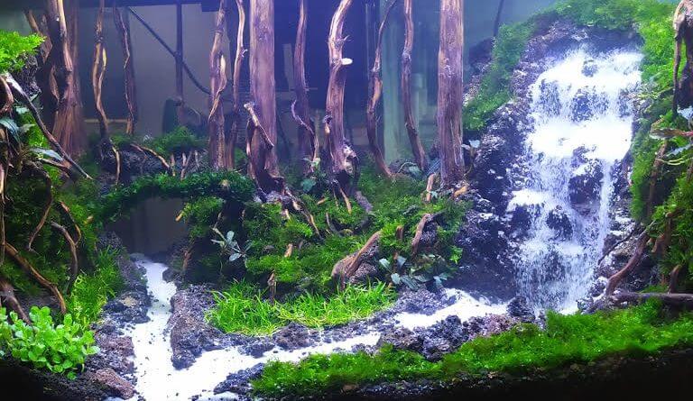 Detail Contoh Aquascape Air Terjun Nomer 20
