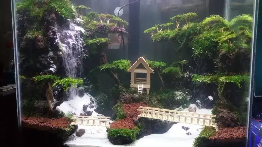 Detail Contoh Aquascape Air Terjun Nomer 21