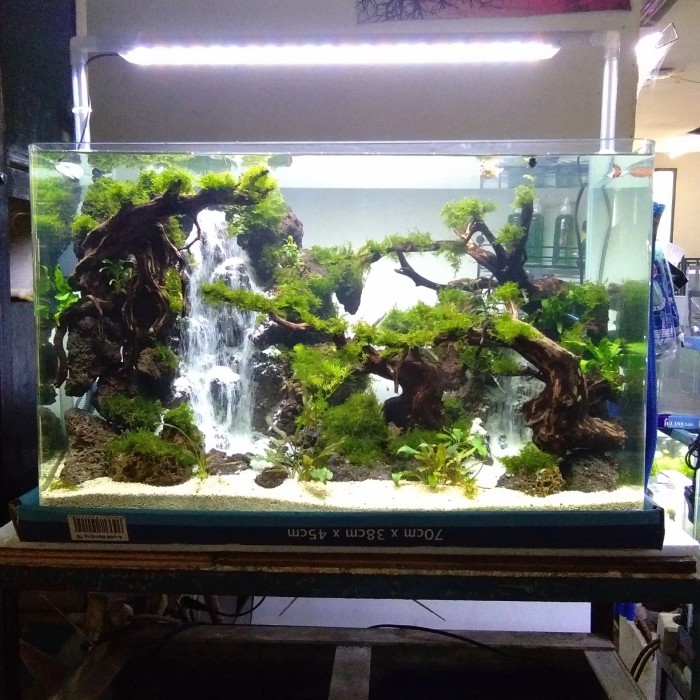 Detail Contoh Aquascape Air Terjun Nomer 22