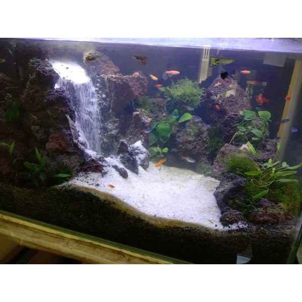 Detail Contoh Aquascape Air Terjun Nomer 24