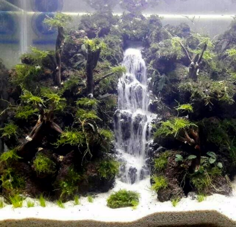 Detail Contoh Aquascape Air Terjun Nomer 26