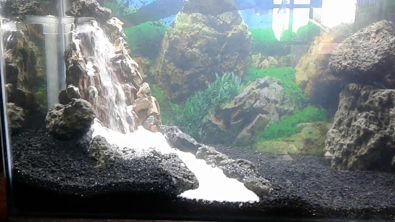 Detail Contoh Aquascape Air Terjun Nomer 28