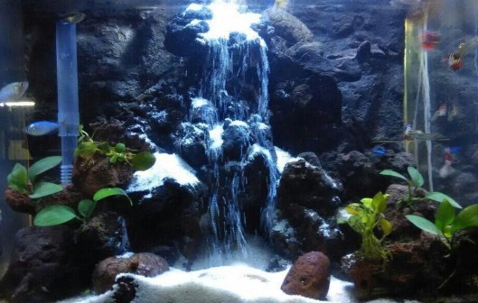 Detail Contoh Aquascape Air Terjun Nomer 29