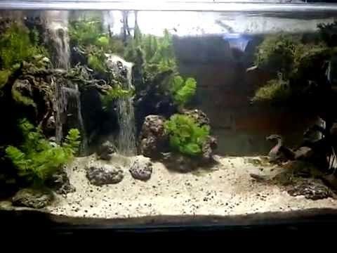 Detail Contoh Aquascape Air Terjun Nomer 4