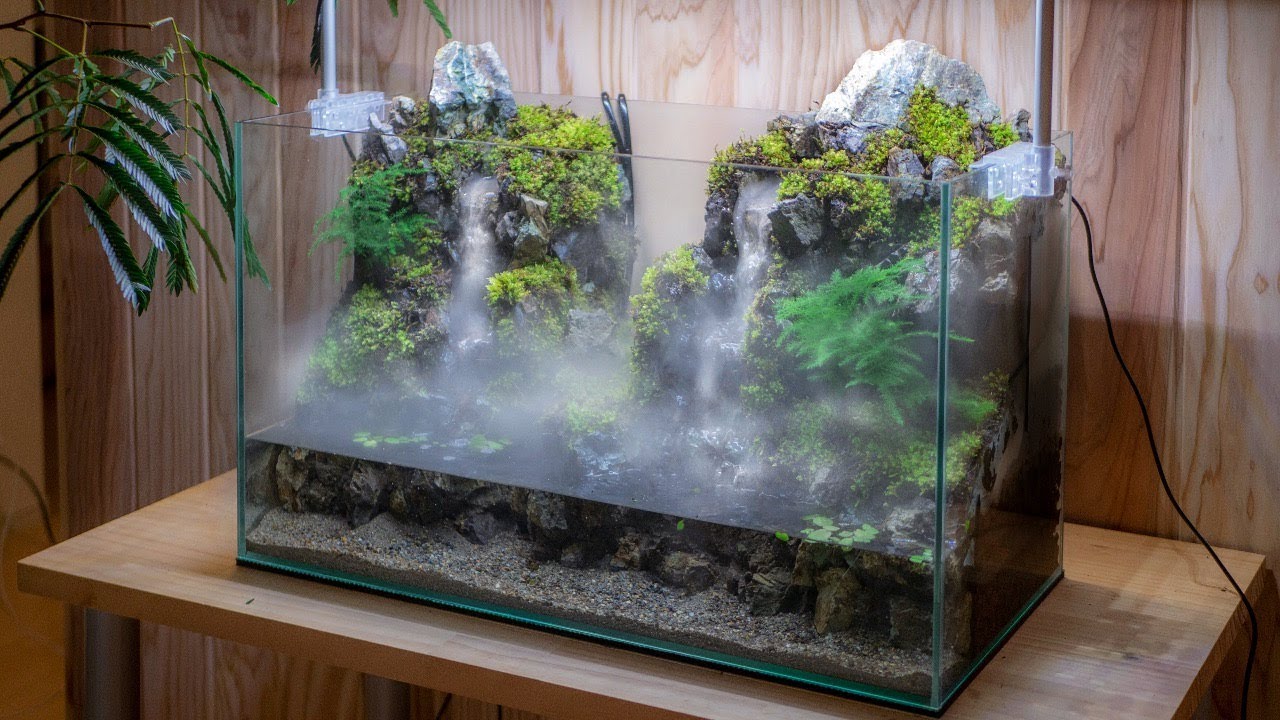 Detail Contoh Aquascape Air Terjun Nomer 30