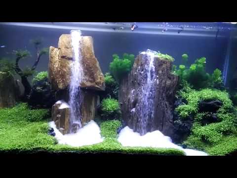 Detail Contoh Aquascape Air Terjun Nomer 32