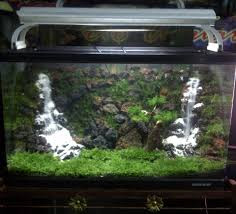 Detail Contoh Aquascape Air Terjun Nomer 33