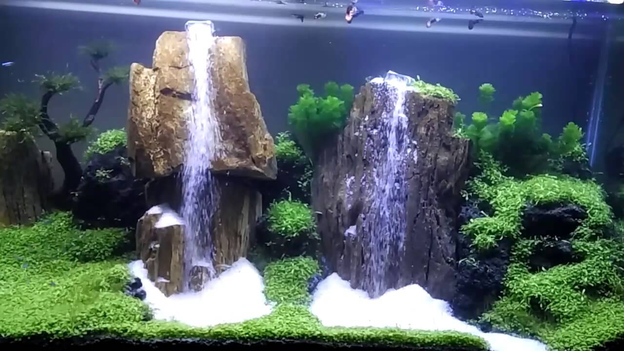 Detail Contoh Aquascape Air Terjun Nomer 34