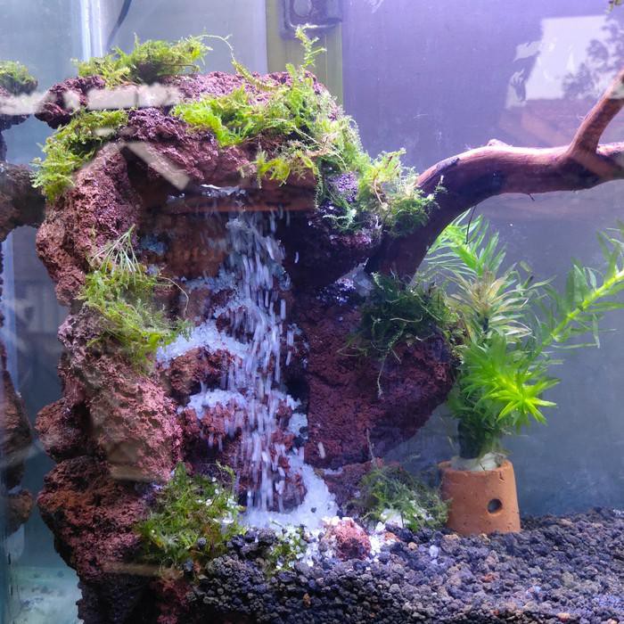 Detail Contoh Aquascape Air Terjun Nomer 35