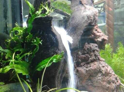 Detail Contoh Aquascape Air Terjun Nomer 37