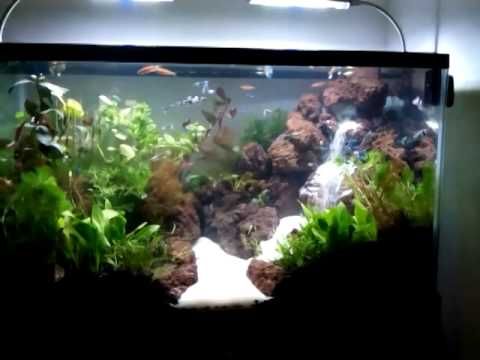 Detail Contoh Aquascape Air Terjun Nomer 5