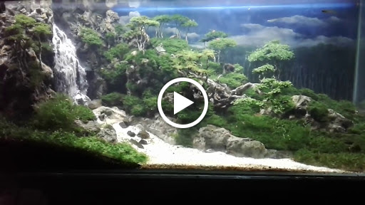 Detail Contoh Aquascape Air Terjun Nomer 40