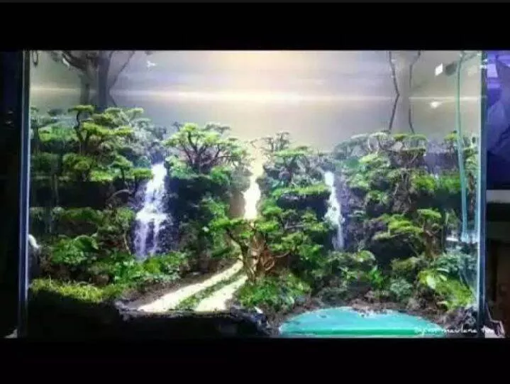 Detail Contoh Aquascape Air Terjun Nomer 41