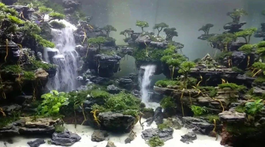 Detail Contoh Aquascape Air Terjun Nomer 42