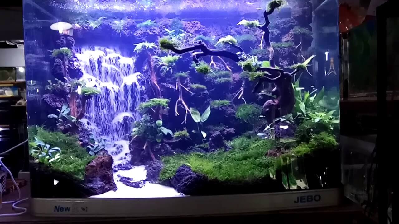 Detail Contoh Aquascape Air Terjun Nomer 43