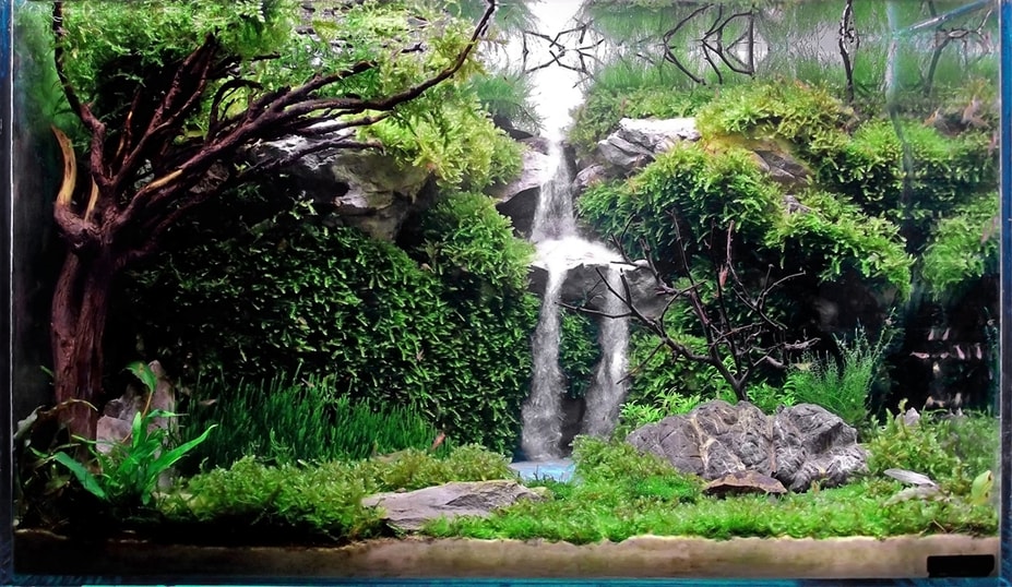 Detail Contoh Aquascape Air Terjun Nomer 47