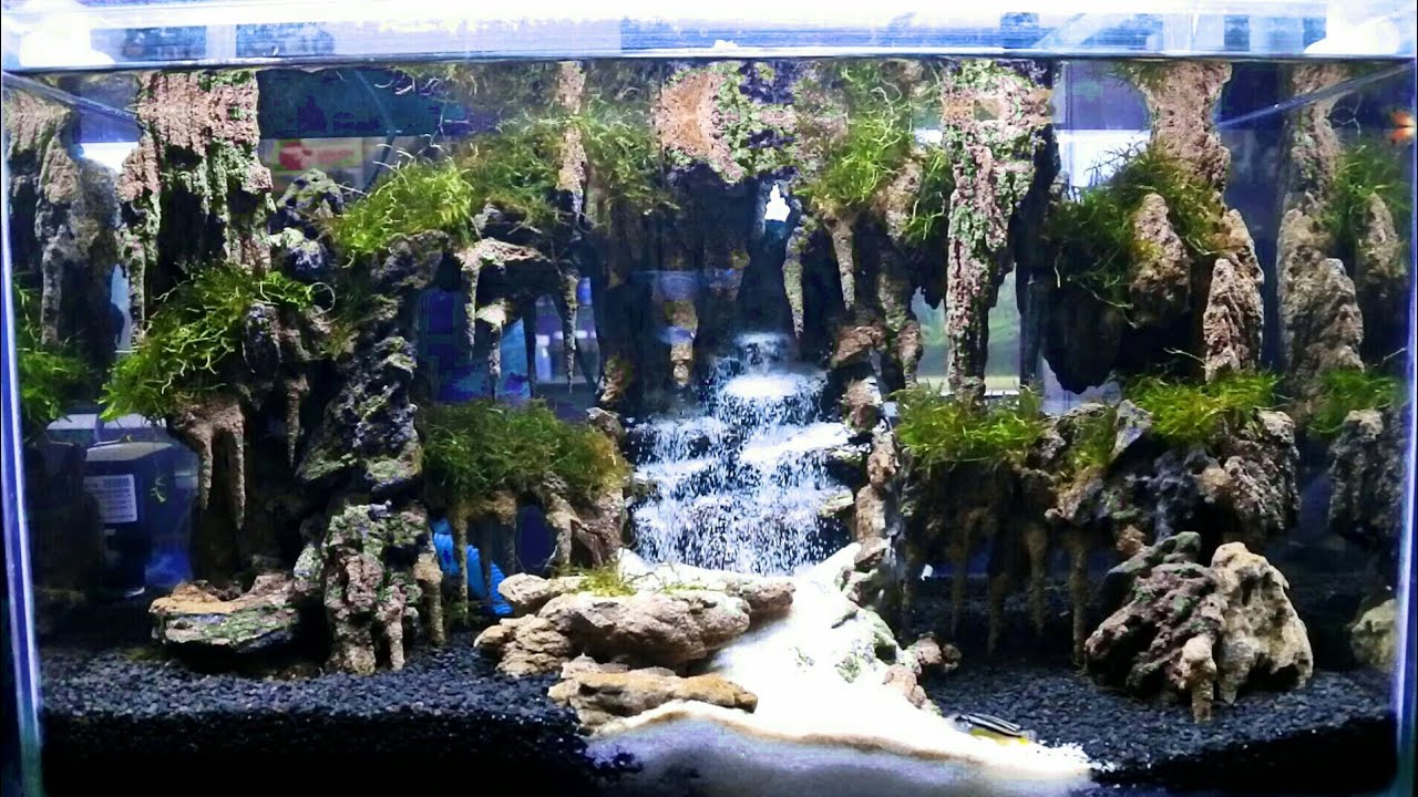 Detail Contoh Aquascape Air Terjun Nomer 6