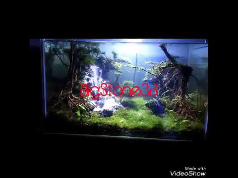 Detail Contoh Aquascape Air Terjun Nomer 48