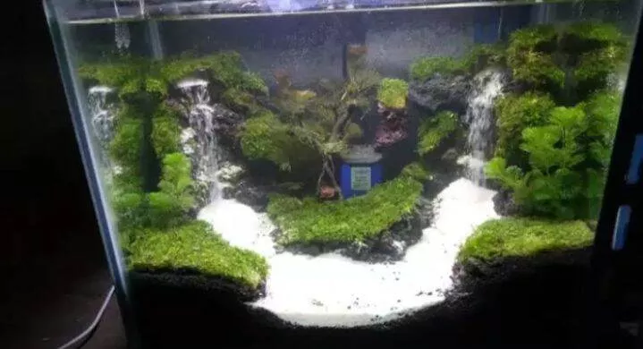 Detail Contoh Aquascape Air Terjun Nomer 50